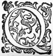 Initial, initial letter Q, from: Ulysses Aldrovandi (1522-1603), Ornithologiae hoc est de avibus