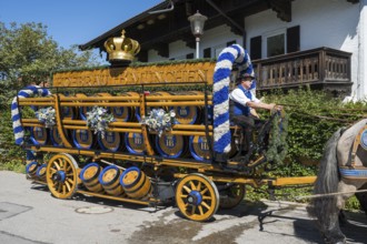 Carriage with brewery barrels, HofbrÃ¤u Munich, horse team, parade at Tegernsee, Rosstag,