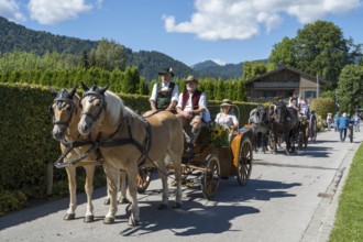 Decorated horses with carriage, horse team, parade at Tegernsee, Rosstag, Rottach-Egern, Upper