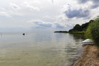 Coastal landscape with boat on water, sunny summer weather, haze, MÃ¶nchgut, RÃ¼gen, Germany
