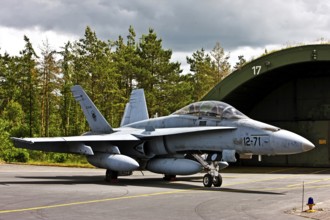 McDonnell Douglas FA-18D Hornet, aircraft, aircraft type, multi-role fighter, fighter, supersonic,