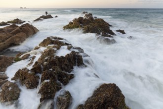 The Cape Byron Lookout at high tide. Rocks and anglers in golden light. Byron Bay, New South Wales,