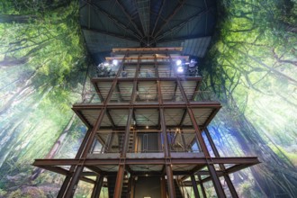 Massive wooden building in an interior with impressive forest landscape on the walls, Amazonia