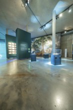 A museum with paintings and exhibits in an extensive exhibition, Amazonia exhibition, Gasometer,