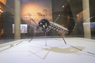 Large sculpture of an insect presented in an exhibition room, Amazonia exhibition, Gasometer,