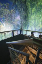 A person on a viewing platform in an artificial jungle with a green natural backdrop, Amazonia