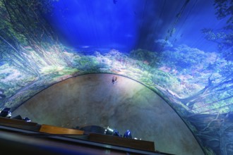 Spectacular interior view of a circular forest projection, Amazonia exhibition, Gasometer,