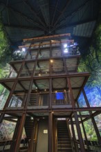Wooden building interior with metal framework and lighting, surrounded by a forest motif, Amazonia