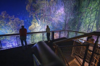 People look at an impressive forest landscape from an illuminated balcony, Amazonia exhibition,