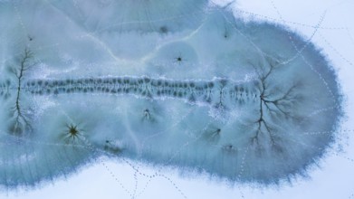 Winter landscape in frost, nature type, meander, icy, snowy, frost, frozen, river landscape,