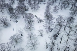 Winter landscape in frost, floodplain landscape, snowy, frost, frozen, river landscape, landscape