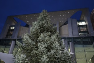Illuminated Christmas tree on the evening in front of the Federal Chancellery, Berlin, 28.11.2025