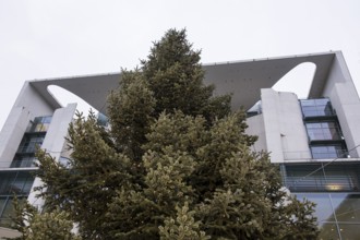 Handing over the Christmas tree to the Federal Chancellery, Berlin, 28.11.2025