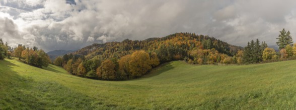 Vast green field features trees with gold and red leaves. The grey sky brings drama to this