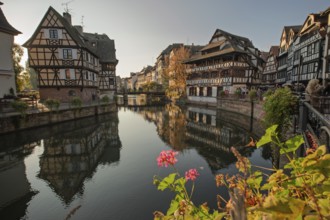 The colorful half-timberne houses of Little France are reflected in the calm waters of the river in