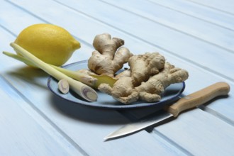 Ginger tubers with lemongrass on plate, lemon