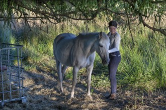 Young girl with her horse in the pasture, Othenstorf, Mecklenburg-Vorpommern, Germany