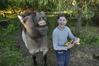 Laughing young girl next to her whining horse, Othenstorf. Mecklenburg-Vorpommern, Germany