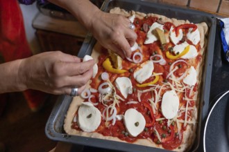 Topping a homemade pizza, gorgonzola and tomatoes, olives and parika on a baking tray, Othenstorf,