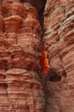 Evening rock glowing in spring at AltschloÃŸfelsen in Eppenbrunn Palatinate, Germany