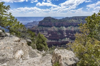 North Rim of the Grand Canyon in Northern Arizona, USA