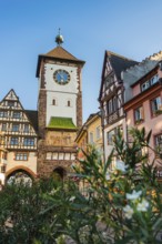 The historic Swabian Gate with flowers in the foreground, Freiburg im Breisgau