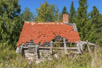 Ruin of an old little house in the Black Forest