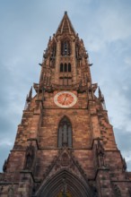 Munster von Freiburg im Breisgau in the evening light