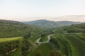 Texas pass in Kaiserstuhl at sunset, autumn. Baden-WÃ¼rttemberg, Germany