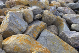 Stones of various sizes with lichens in shades of gray and orange