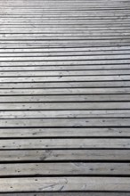 View of an expansive light gray wooden floor with parallel planks