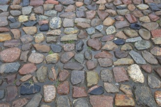 Wet cobblestones with irregular stones in natural earthy tones