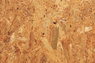 Fibreboard with rough structure and natural aesthetics