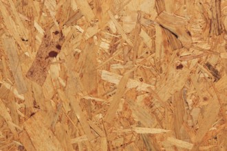 Particleboard made from wood fibers with a natural, coarser surface