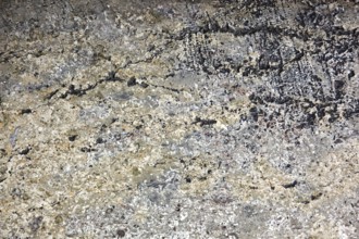 Natural stone with light and dark patterns, showing beige and black textures