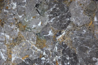 Multi-coloured granite with grey, white and orange elements, rich in structure