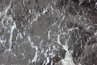 Grey marble with white veining and natural structure