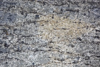 Natural stone surface with beige and grey hues and complex texture