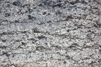 Granite surface with grey and black patterns, showing natural textures