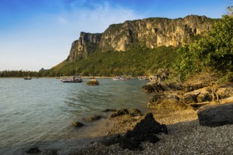 Beach with Shells, Khao Ta Mong Lai Forest Park, Prachuap Khiri Khan, Prachuap Khiri Khan Province,
