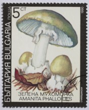 Mushrooms as stamp motif, Amanita phalloides, green bulbous leaf mushroom, Bulgaria