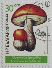 Mushrooms as stamp motif, Leccinum aurantiacum, deciduous redcap, Bulgaria