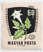 Medicinal plant as stamp motif, Datura stramonium, stingapple, Hungary