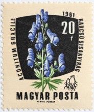 Medicinal plant as stamp motif, Aconitum gracile, aconite, Hungary