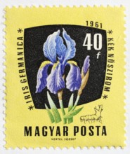 Medicinal plant as stamp motif, Iris Germanica, Hungary