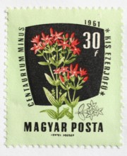 Medicinal plant as stamp motif, Centaurium minus, thousandwort, Hungary