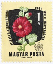 Medicinal plant as stamp motif, Althaea atropurpurea, marshmallow, Althaea officinalis, Hungary