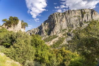 The Manikia Gorge on the island of Euboea or Evia, Greece