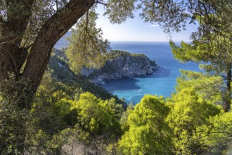 The coast near the village of Pili or Pelio, the island of Euboea or Evia, Greece
