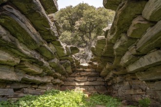 Prehistoric Palli-Lakka dragon house Drakospita near Styra, island of Euboea or Evia, Greece